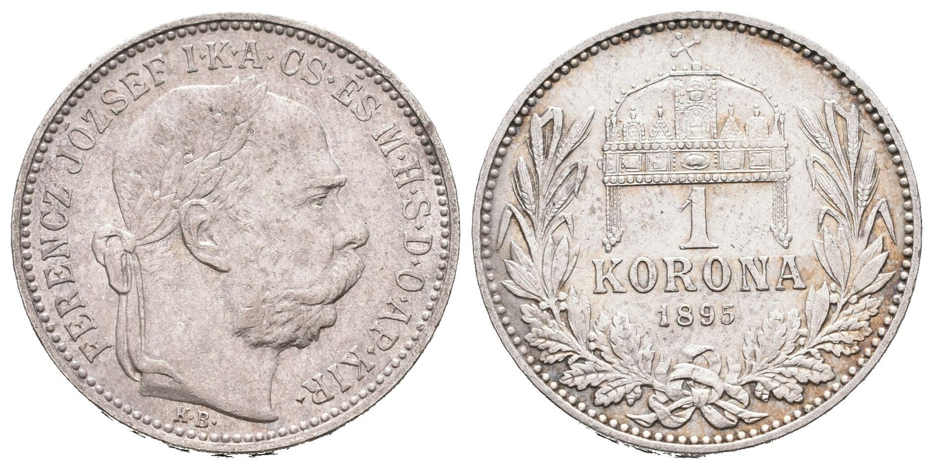 1 Koruna 1895 KB