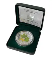 Kanada, 5 Dollars 2002 - Maple Leaf Coloured Coin - fotografie 8