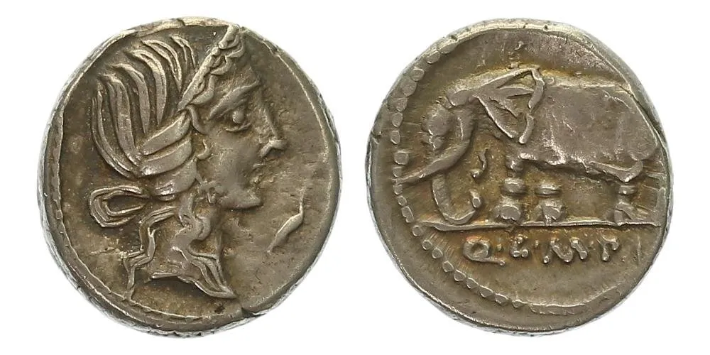 Q. Caecilius Metellus Pius, 81 př. Kr. — 1