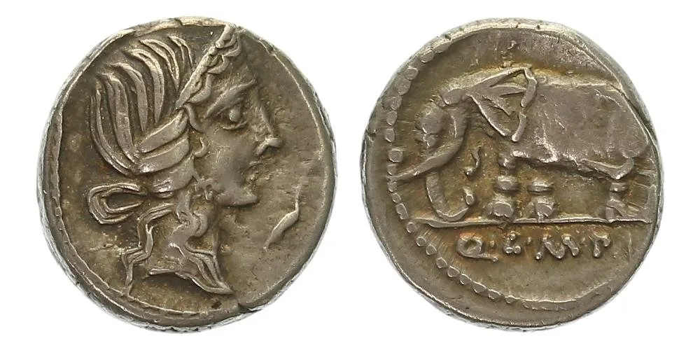 Q. Caecilius Metellus Pius, 81 př. Kr. — 1
