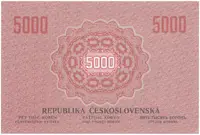 5000 Koruna 1919/2019 - fotografie 2