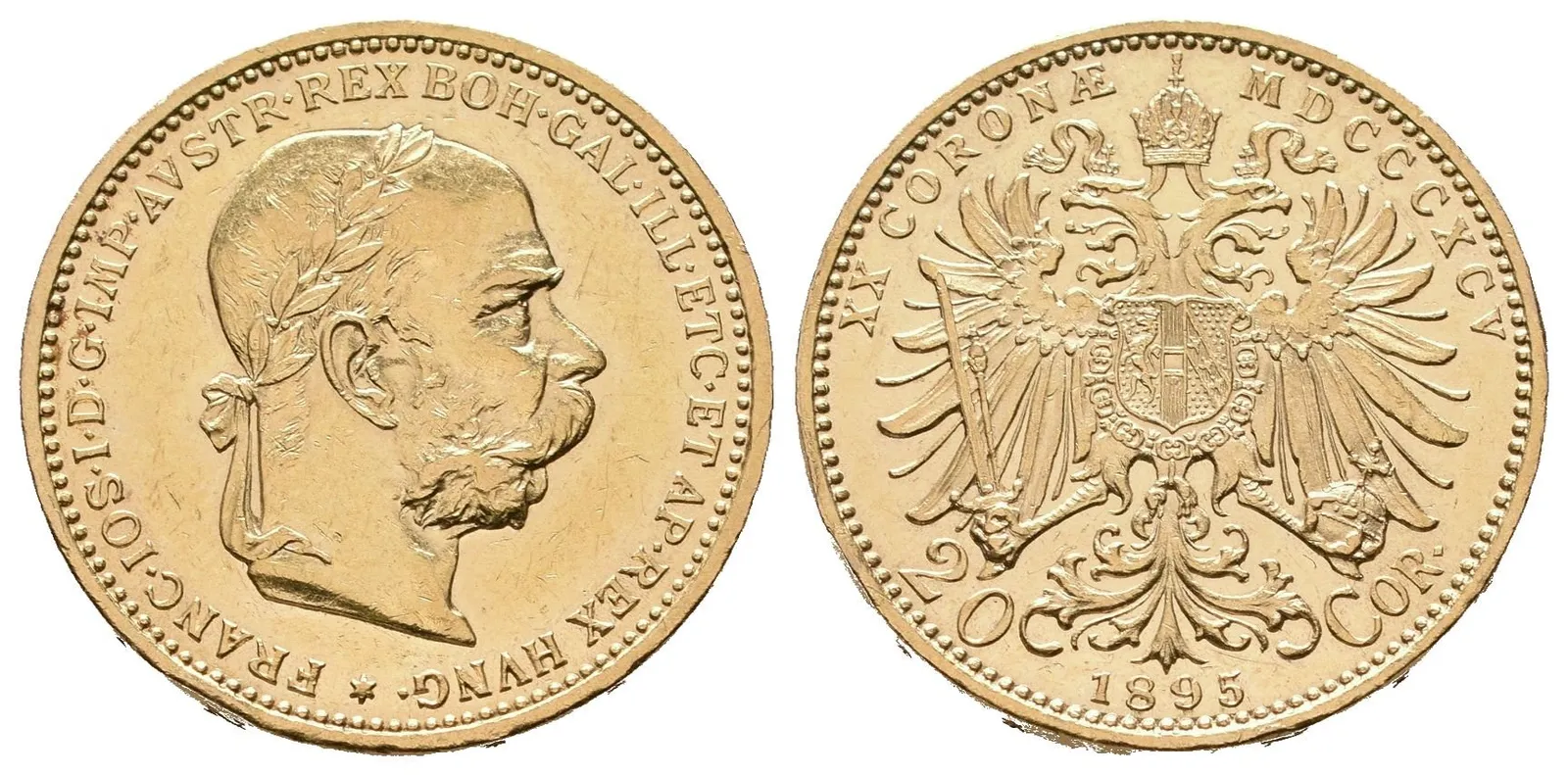 20 Koruna 1895