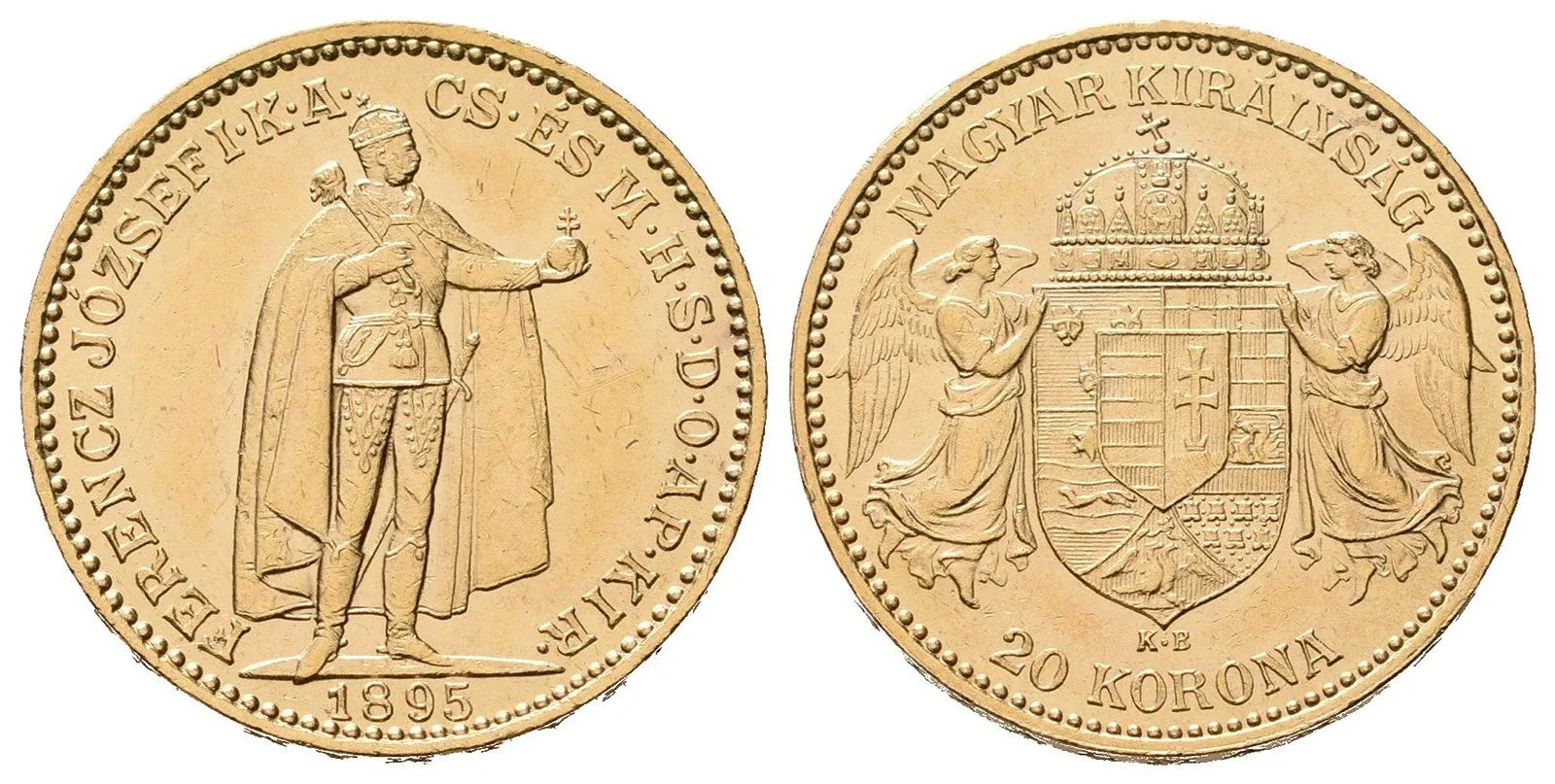 20 Koruna 1895