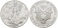 USA, American Eagle 1991