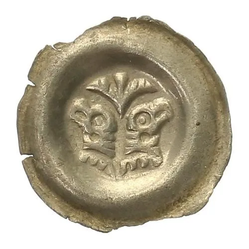 Přemysl Otakar II., 1253 - 1278 — 1