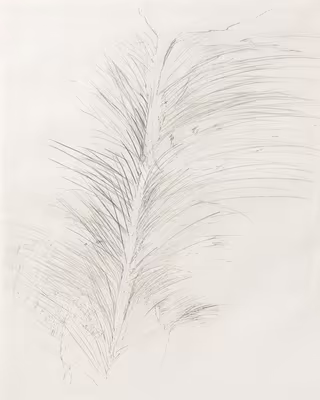 Adriena Šimotová: Adriena Šimotová (1926–2014) - DVOJICE
