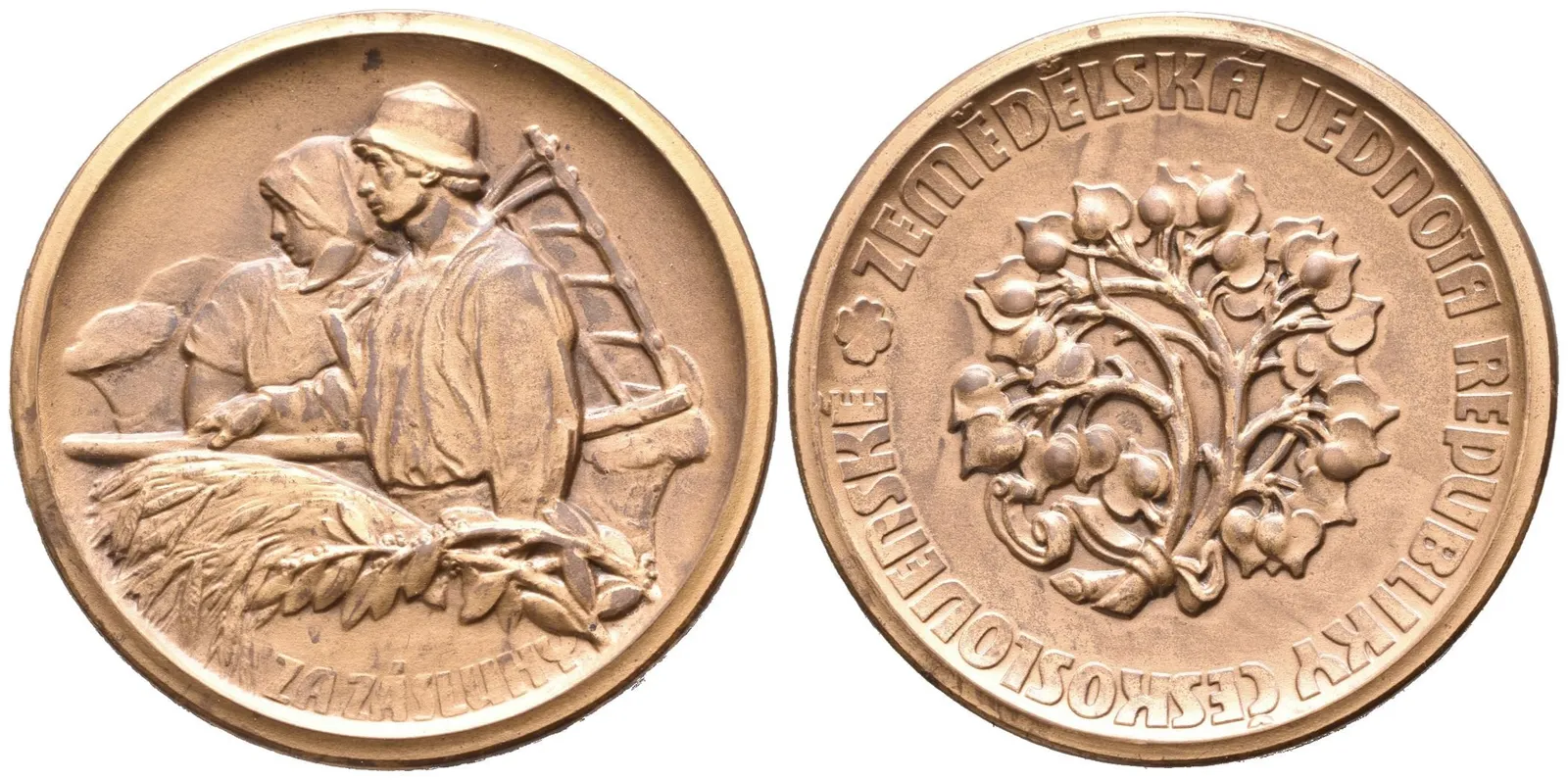 AE Medaile b.l. - Záslužná medaile Zemědělské jednoty republiky Československé, — 1