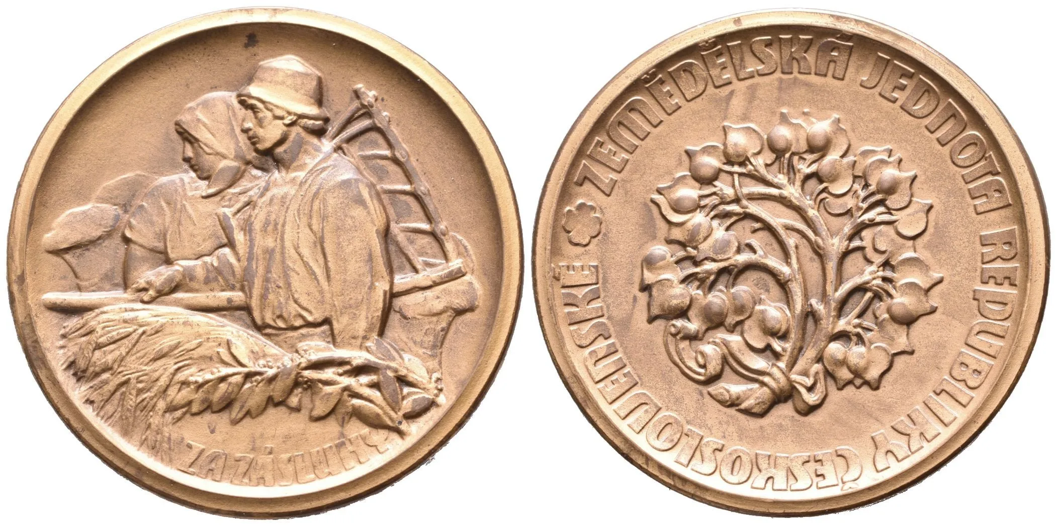 AE Medaile b.l. - Záslužná medaile Zemědělské jednoty republiky Československé, — 1