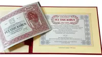 5000 Koruna 1919/2019 - fotografie 3