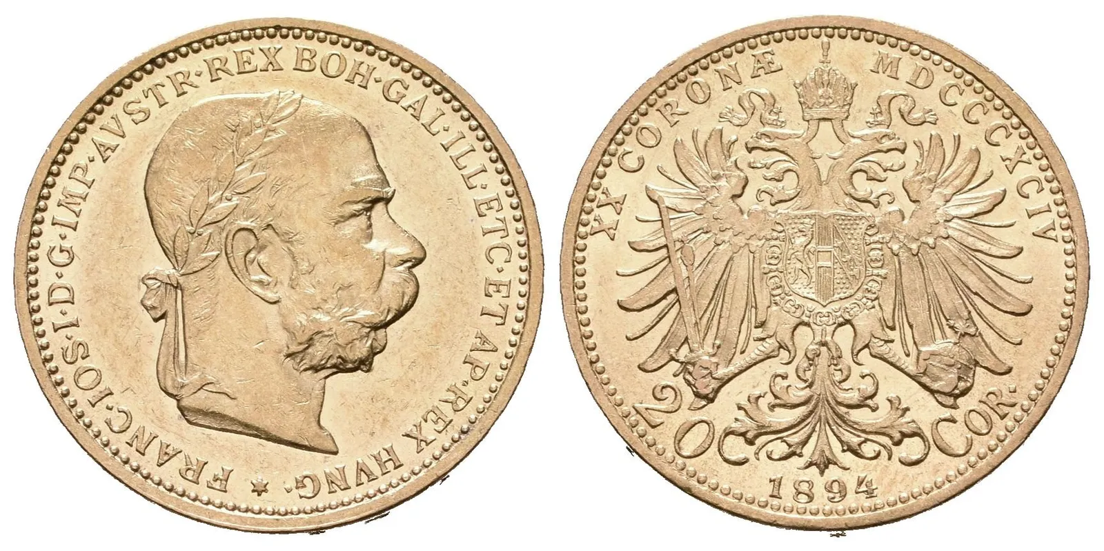 20 Koruna 1894