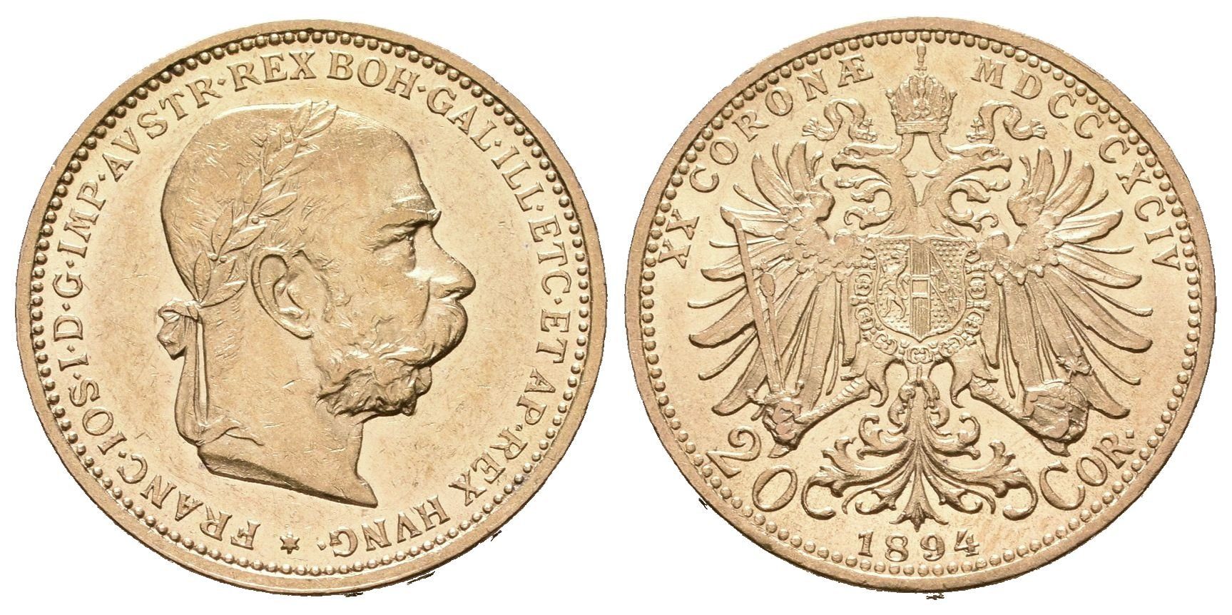 20 Koruna 1894