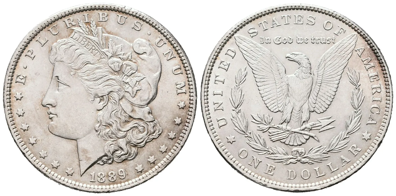 USA, 1 Dollar 1889