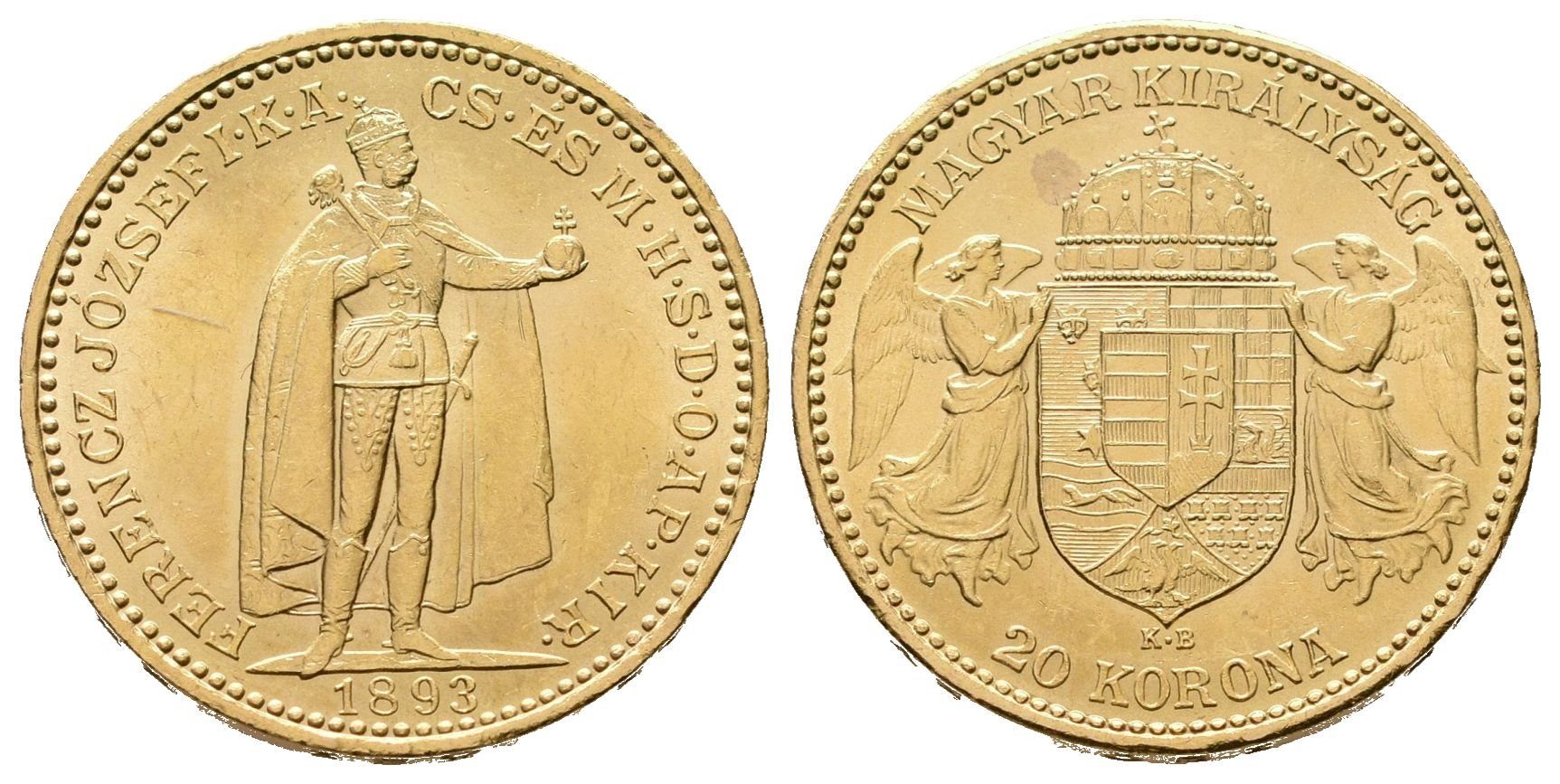 20 Koruna 1893 KB