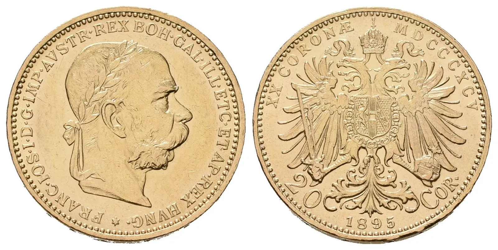 20 Koruna 1895