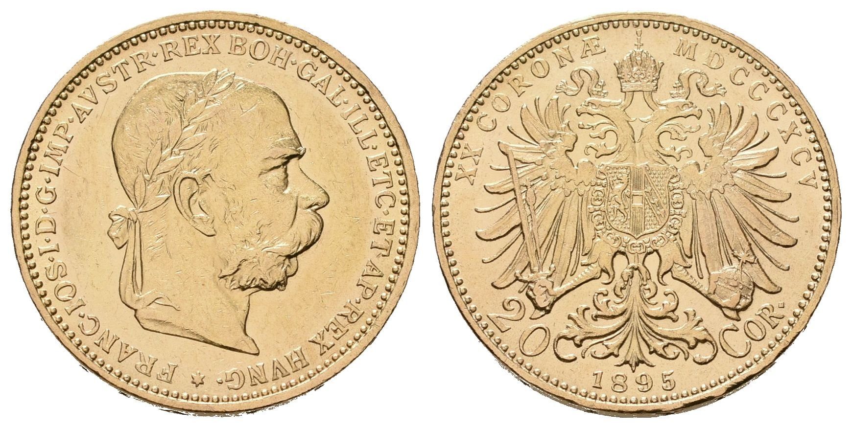20 Koruna 1895