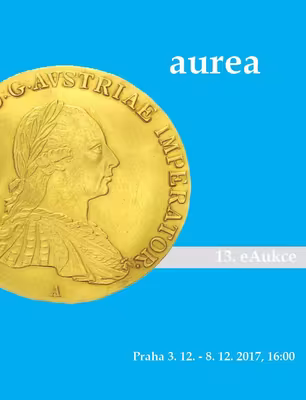 13. eAukce