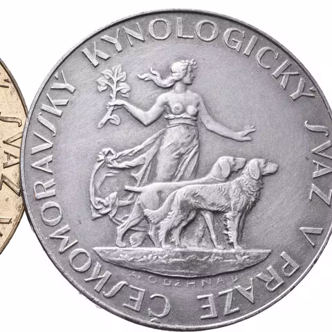 AE Medaile b.l. - Českomoravský kynologický svaz v Čechách a Praze. Bronz a Zn? 45 mm_2 ks