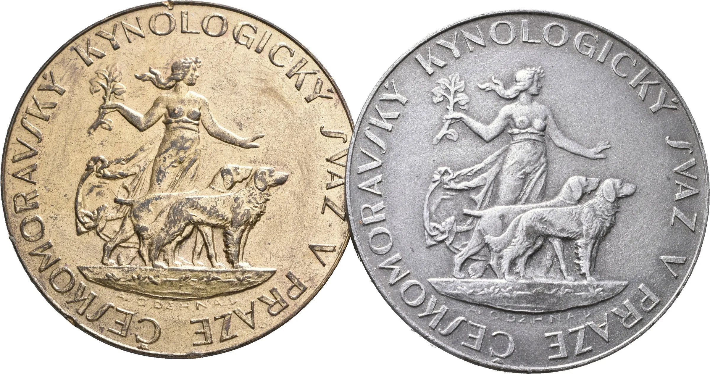 AE Medaile b.l. - Českomoravský kynologický svaz v Čechách a Praze. Bronz a Zn? 45 mm_2 ks — 1