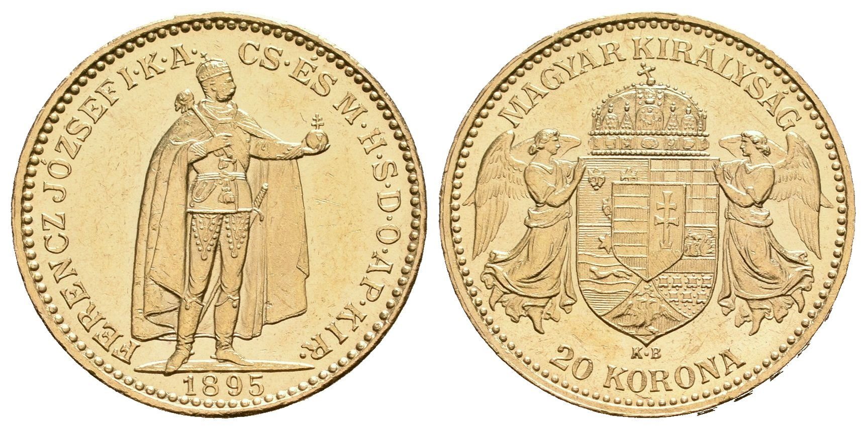 20 Koruna 1895 KB