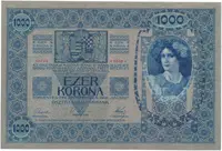 Rakousko - Uhersko, 1000 Koruna 1902, podtisk šedorůžový, bez přetisku, Hej.RU5b