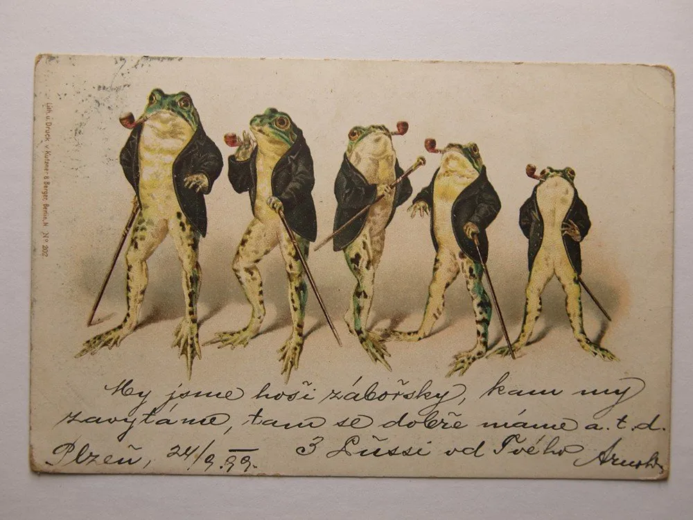 Fauna, zvířata, živočichové — 1