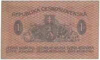 1 Koruna 1919, Hej.7 - fotografie 2