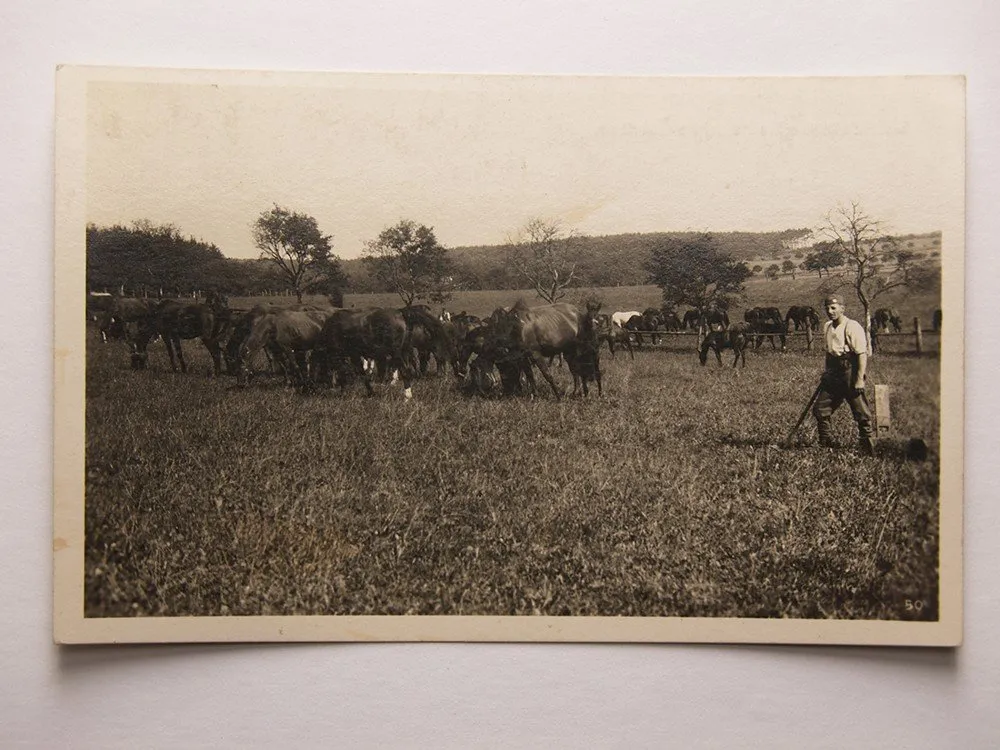 Západní Čechy, okr. Domažlice — 1