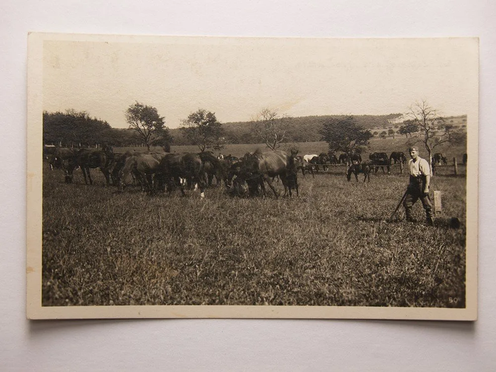 Západní Čechy, okr. Domažlice — 1