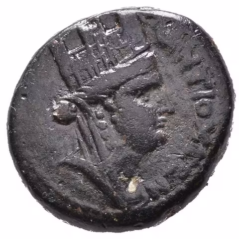 AE 21, rok 114 (65/66 AD), Busta bohyně zprava /