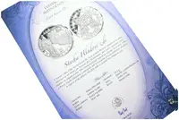 Stříbrná investiční medaile - Stavba Hladové zdi - Ag 24,5 g - 999/1000 + Certifikát - fotografie 2