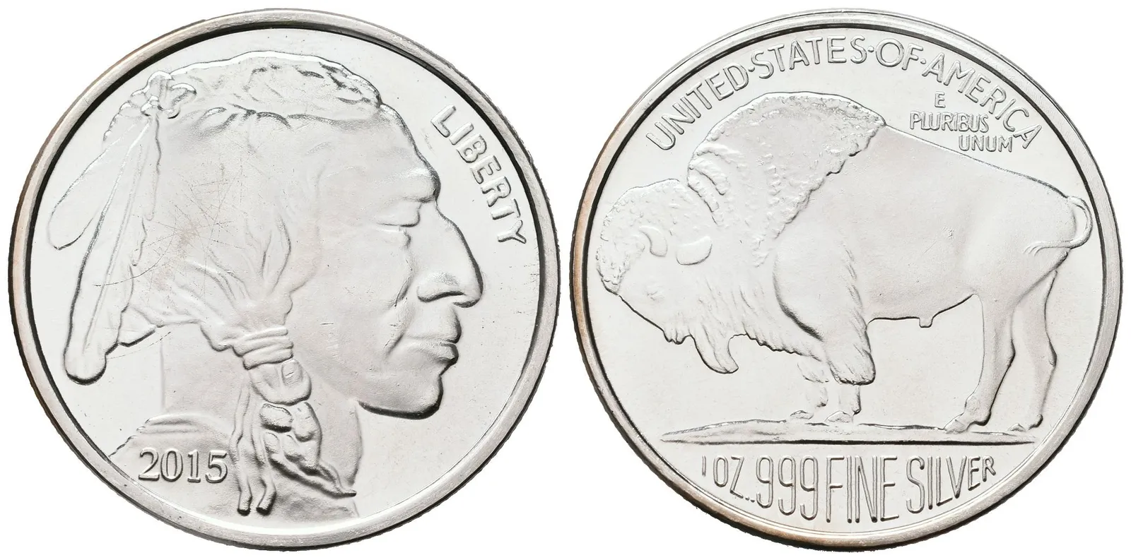 USA, American Buffalo 2015