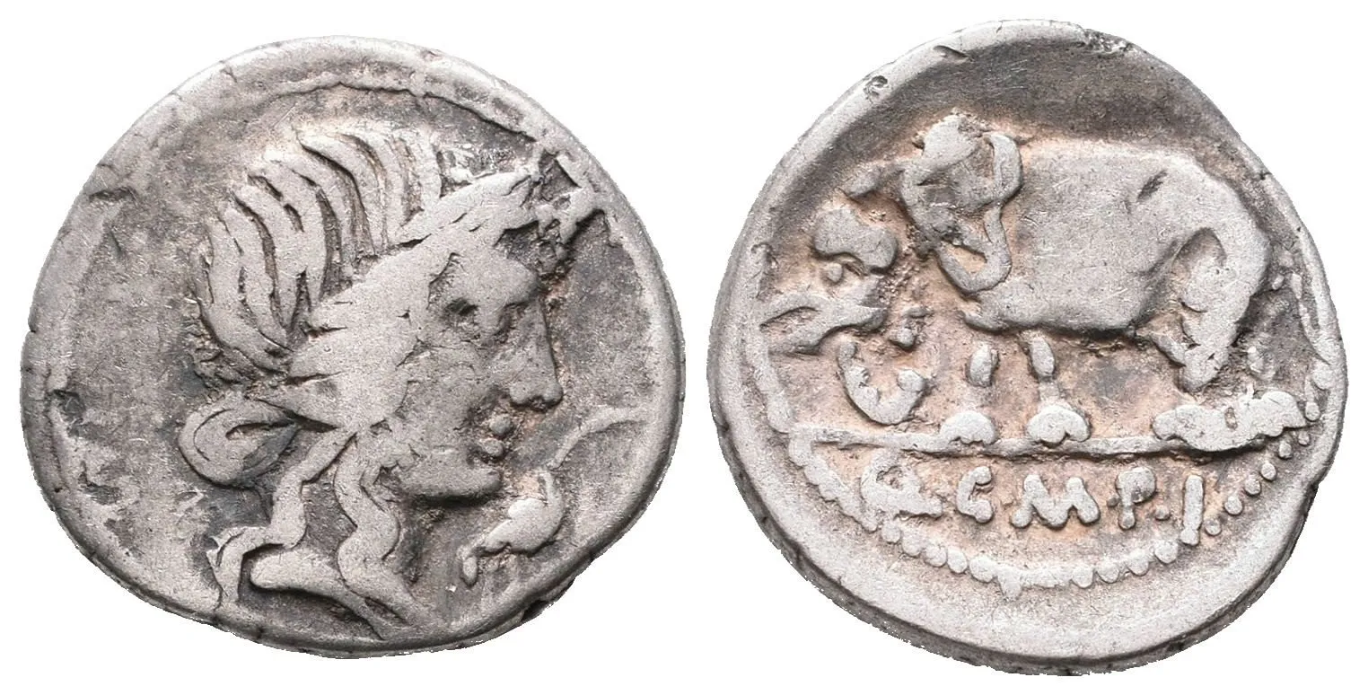 Q. Caecilius Metellus Pius, 81 př. Kr. — 1