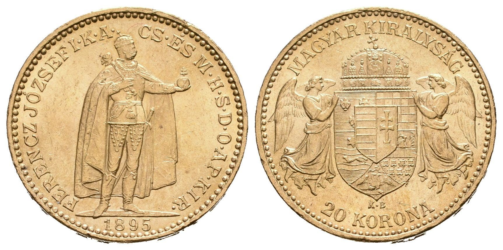 20 Koruna 1895 KB
