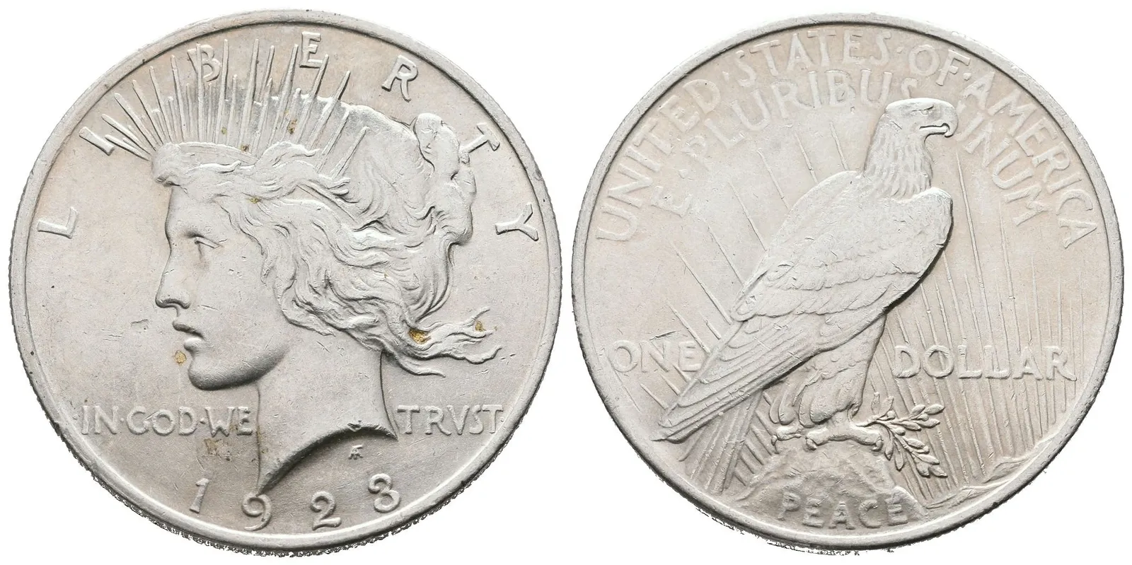 USA, 1 Dollar 1923