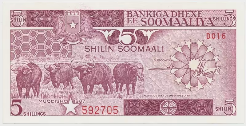 Somálsko, 5 Shilin 1987, P.31c