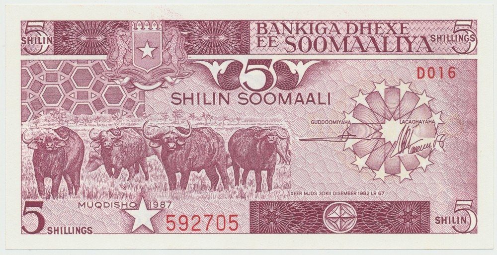 Somálsko, 5 Shilin 1987, P.31c