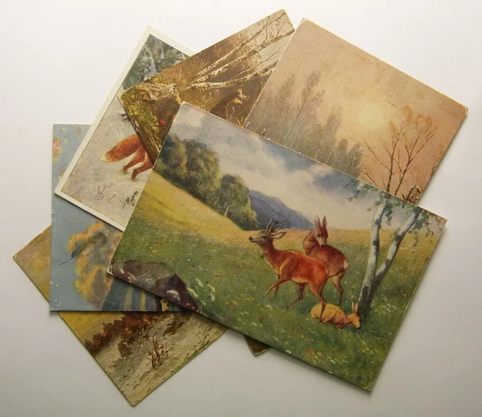 Žánr, motiv - sbírky, loty, partie — 1