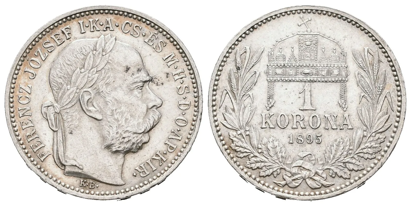 1 Koruna 1895 KB
