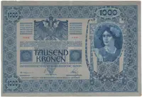 1000 Koruna 1902 (1919), šedozelený podtisk, kolkovaná, Hej.6a - fotografie 2