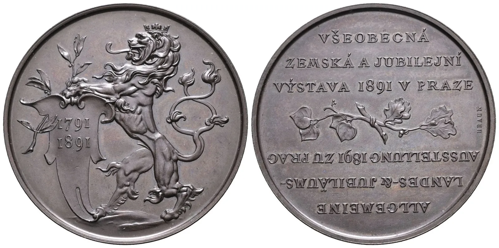 AE Medaile (R. Braun) - Záslužná medaile pro vystavovatele. Český a německý nápis / — 1